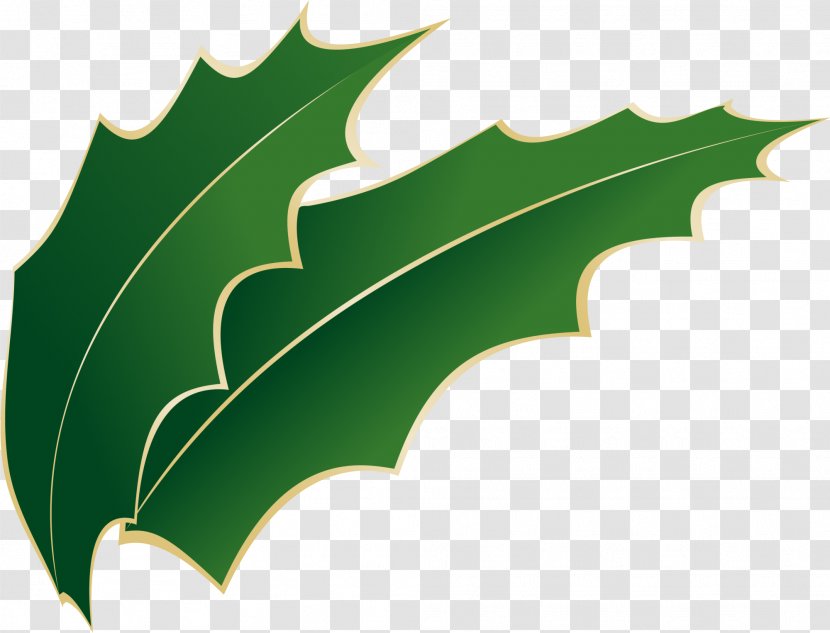 Leaf Green Wallpaper - Grass - Fresh Leaves Transparent PNG