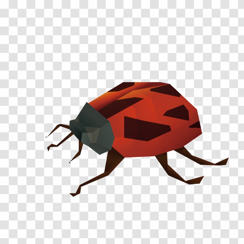 Insect Ladybird Euclidean Vector - Red Three-dimensional Seven-star Ladybug Decoration Transparent PNG