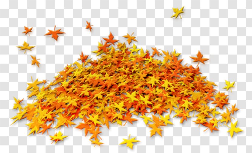 Autumn Image Clip Art Painting - Blog Transparent PNG