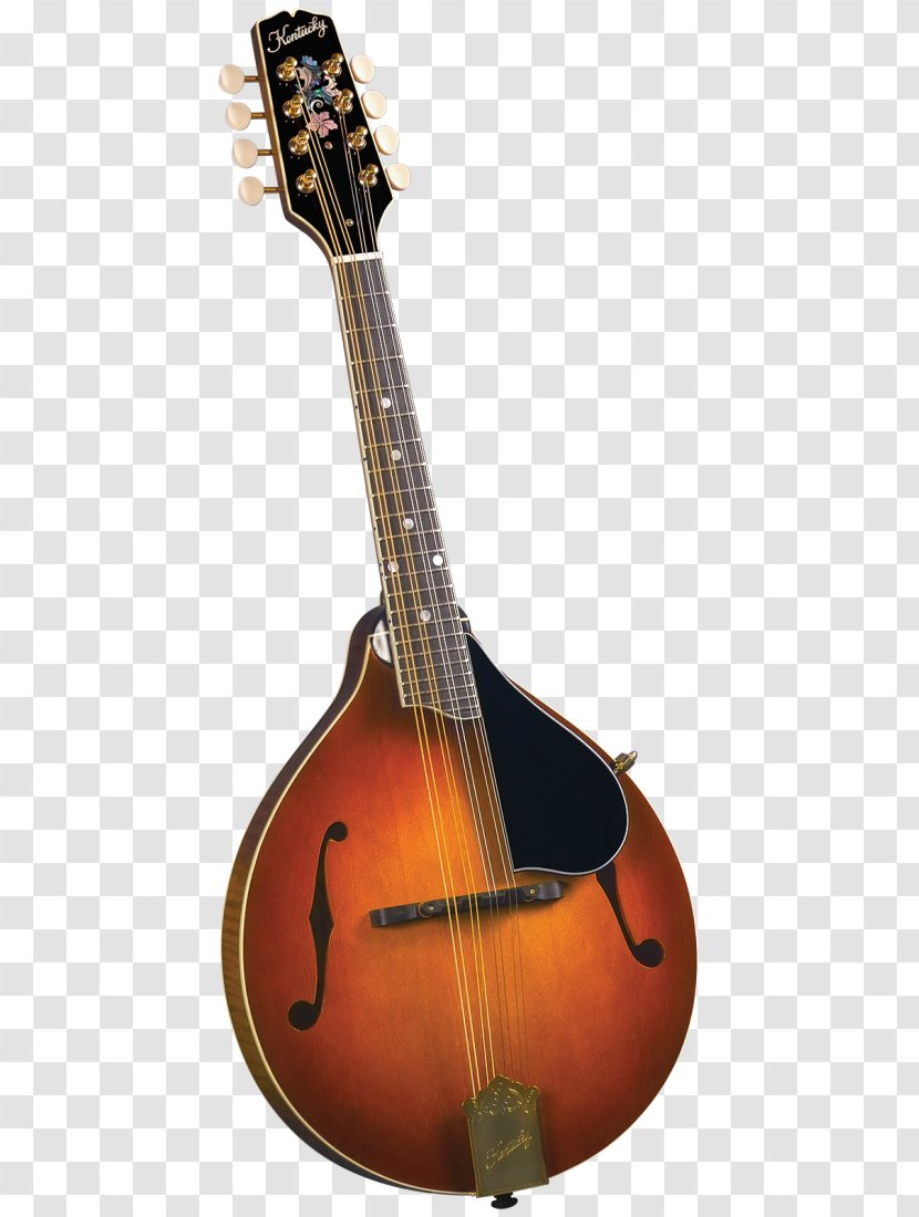 Mandolin NAMM Show Musical Instruments Musician Acoustic Guitar - Tree Transparent PNG