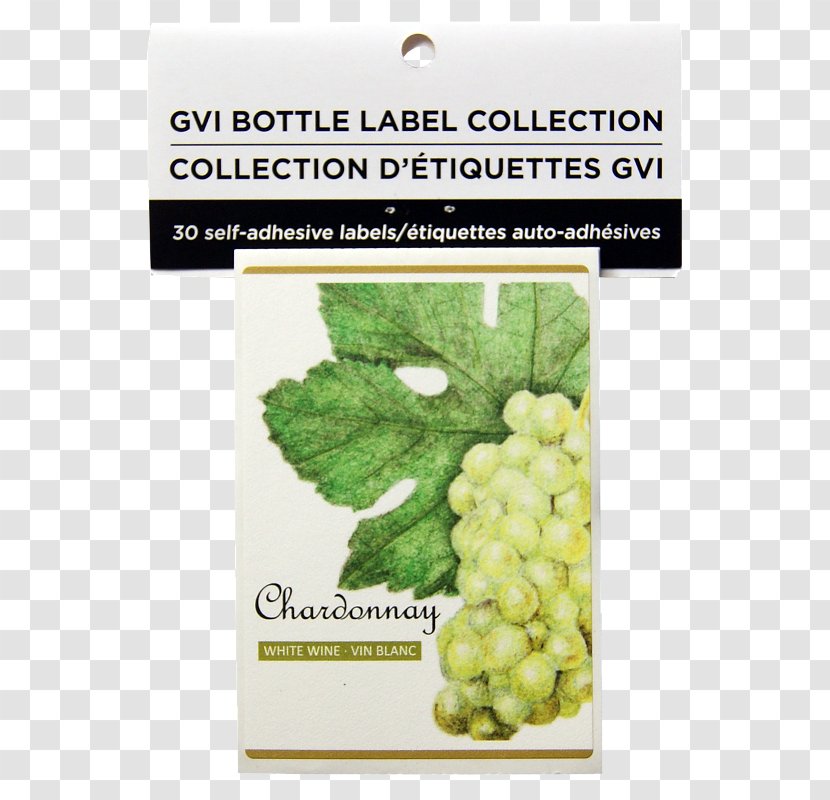 Grape Chardonnay Wine Connecticut Transparent PNG