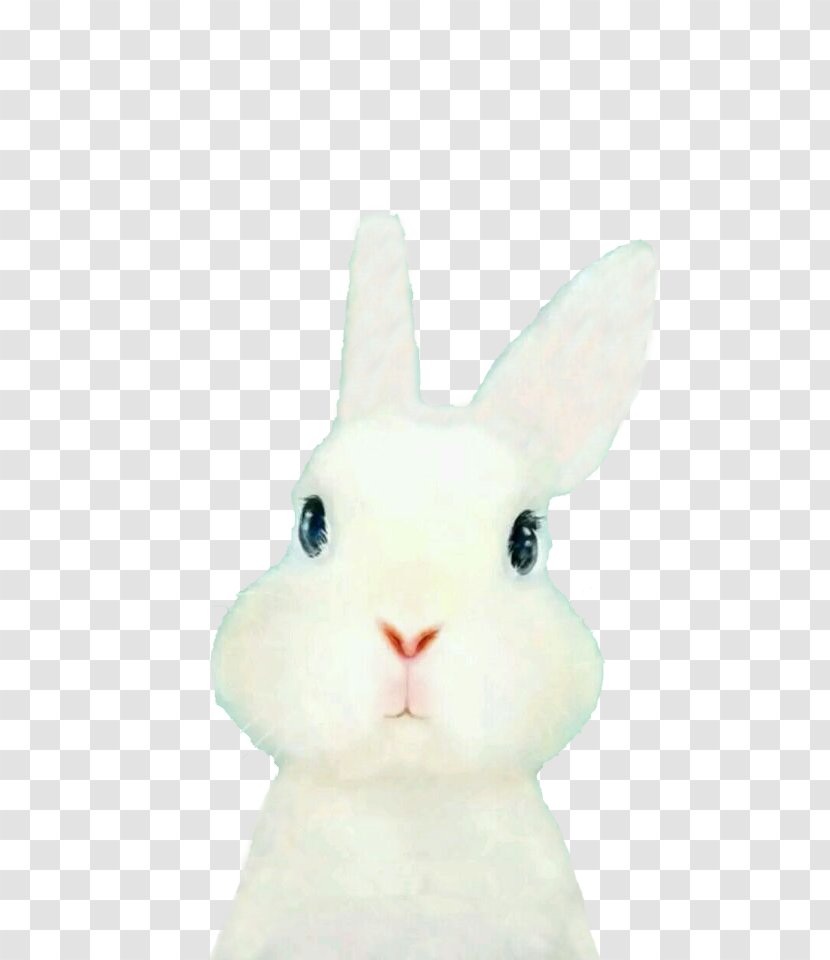 Domestic Rabbit Easter Bunny Hare Embroidery - Cute Transparent PNG