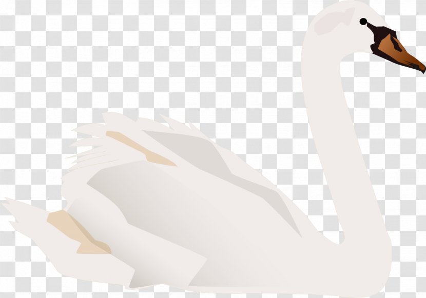 Duck Neck Illustration - Water Bird - Vector Painted Swan Transparent PNG