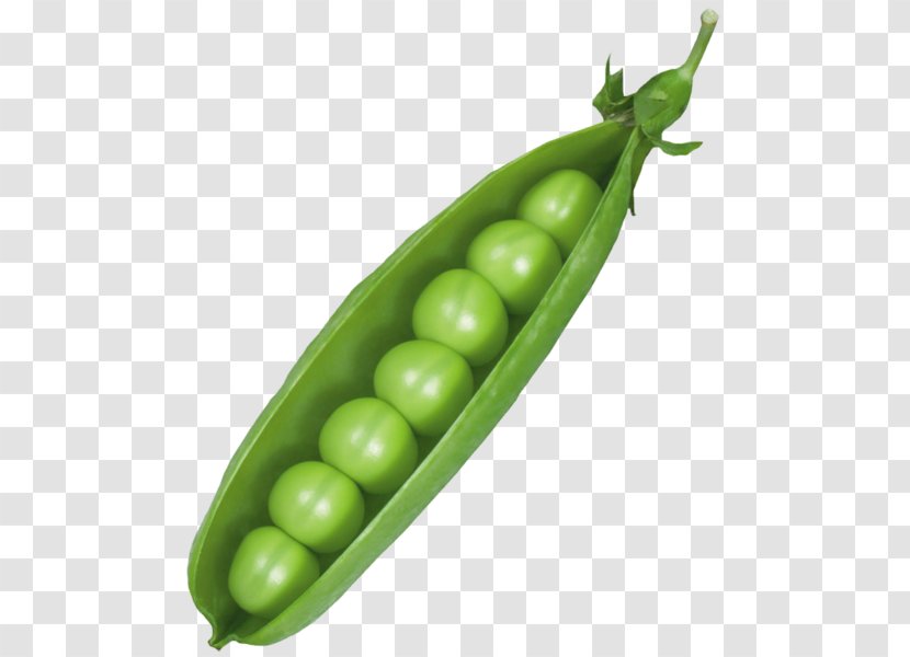 Snow Pea Vegetable Pod Clip Art - Green Peas Transparent PNG