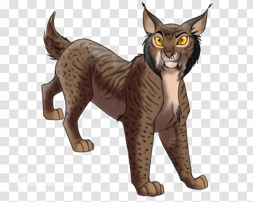Whiskers Domestic Short-haired Cat - Mammal Transparent PNG