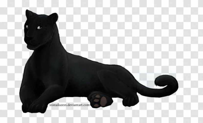 Cat Mammal Whiskers Carnivora Animal - Wildlife - Black Panther Transparent PNG