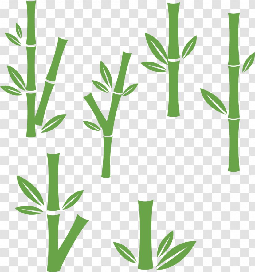 Bamboo Euclidean Vector - Plant Stem - Dispersal Transparent PNG