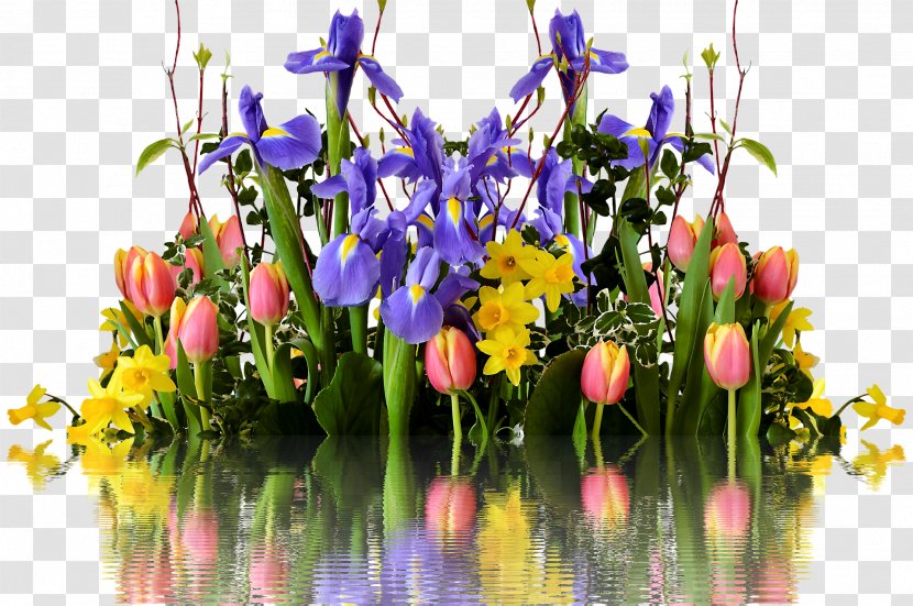 Tulip Flower Bouquet Easter Cut Flowers - Hyacinth - Spring Whirlwind Transparent PNG