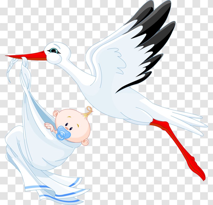 White Stork Infant Clip Art - Seabird - Diao Bird Child Transparent PNG