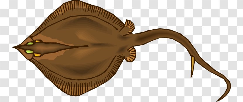 Myliobatoidei Estuary Stingray Animal Clip Art - Fish Transparent PNG