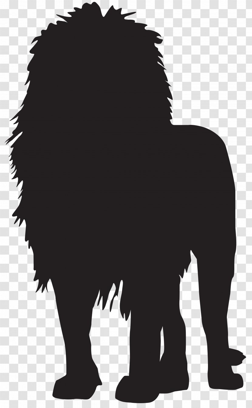 White Lion Silhouette Clip Art - Transparent Cliparts Transparent PNG