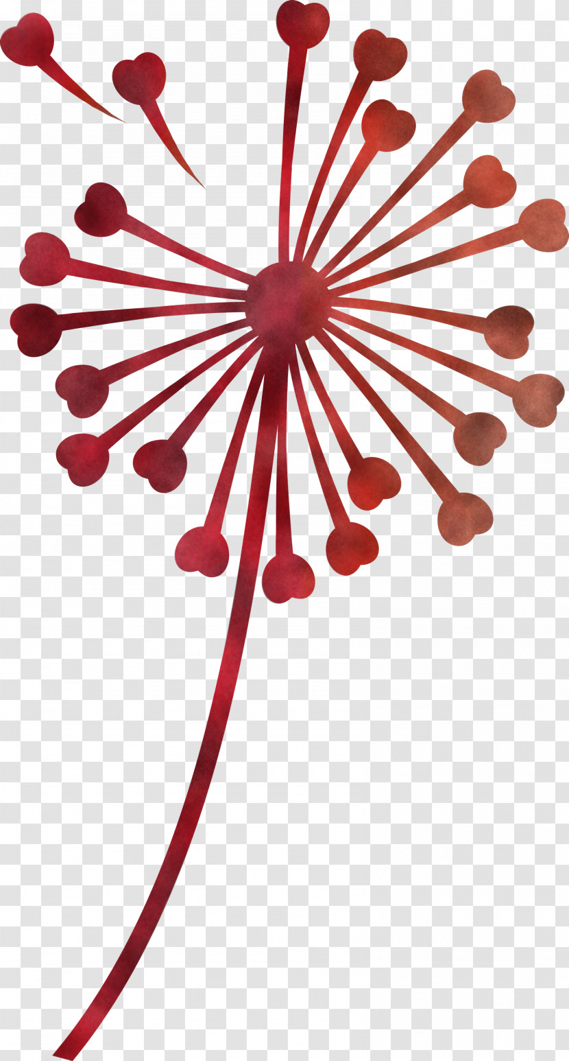 Dandelion Transparent PNG