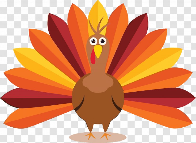 Thanksgiving Turkey - Bird Plant Transparent PNG