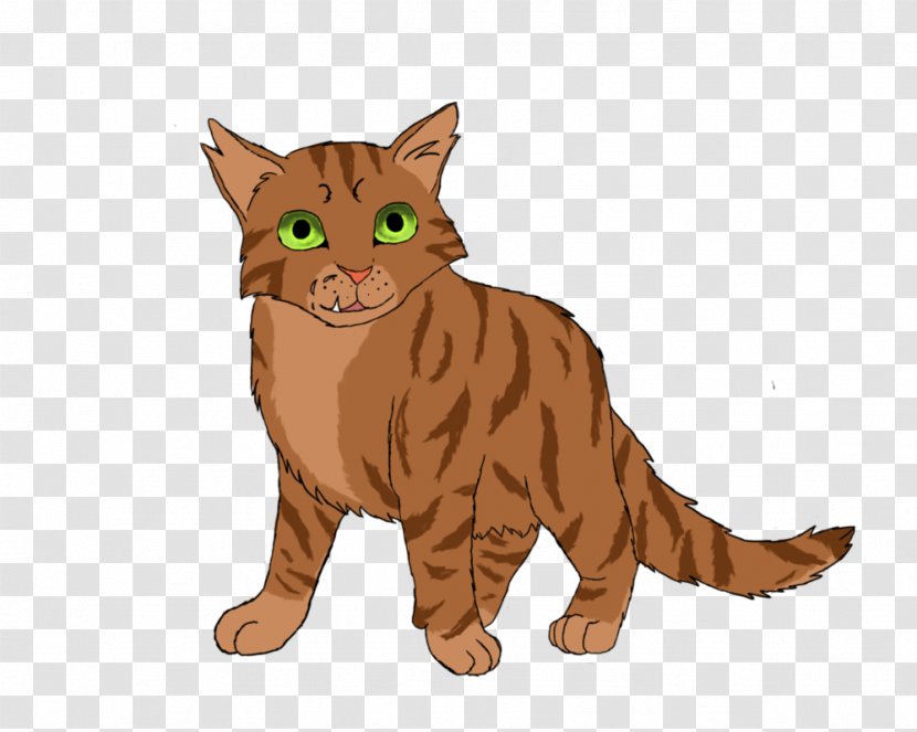 Tabby Cat Wildcat Whiskers Crookedstar - Small To Medium Sized Cats - Warrior Drawings Transparent PNG
