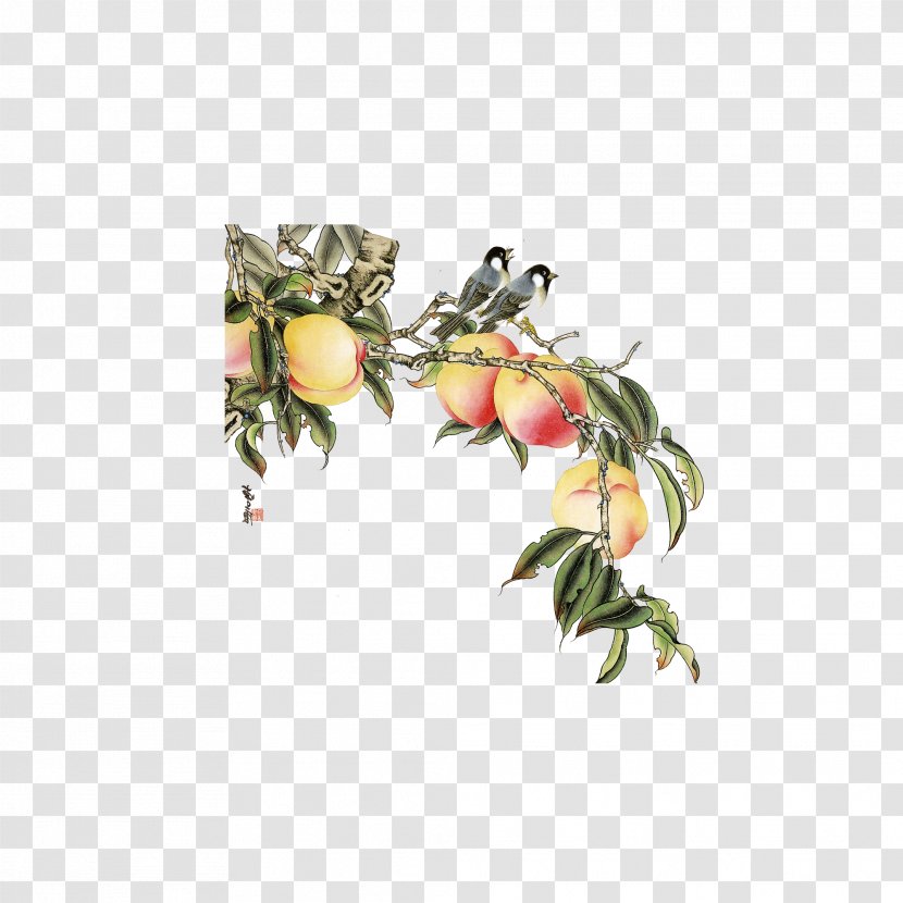 Gongbi Filial Piety - Fruit - Peach Transparent PNG