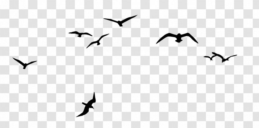 Bird Flock V Formation Clip Art - Animation - Creative Crows Transparent PNG