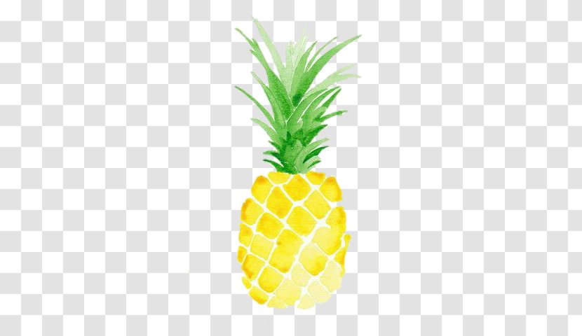 Pineapple Watercolor Painting Art Printmaking Transparent PNG