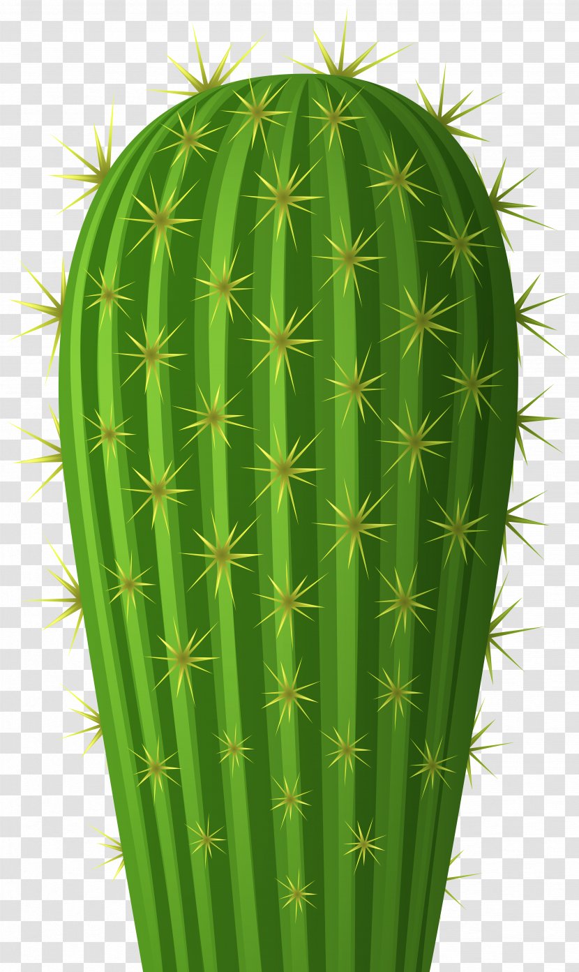 Clip Art Cactus Image Transparency - Succulent Plant Transparent PNG
