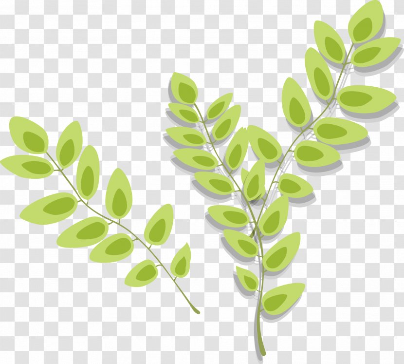 Image Leaf Vector Graphics Plants - Red - Botanical Transparent PNG