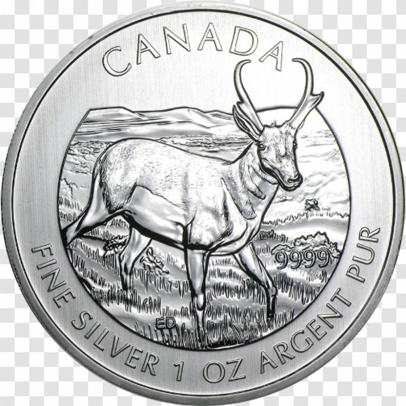 Canada Bullion Coin Canadian Wildlife Royal Mint Silver - Maple Leaf Transparent PNG