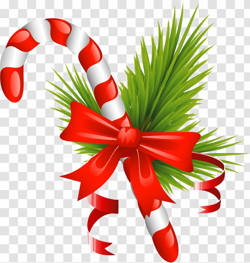 Candy Cane Christmas GIMP - Holiday Ornament - Banquet Transparent PNG