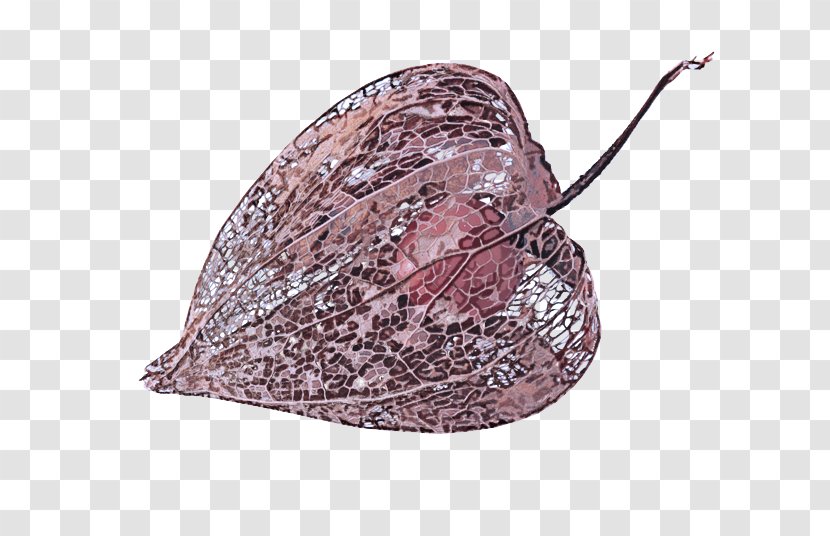 Leaf Fashion Accessory Transparent PNG