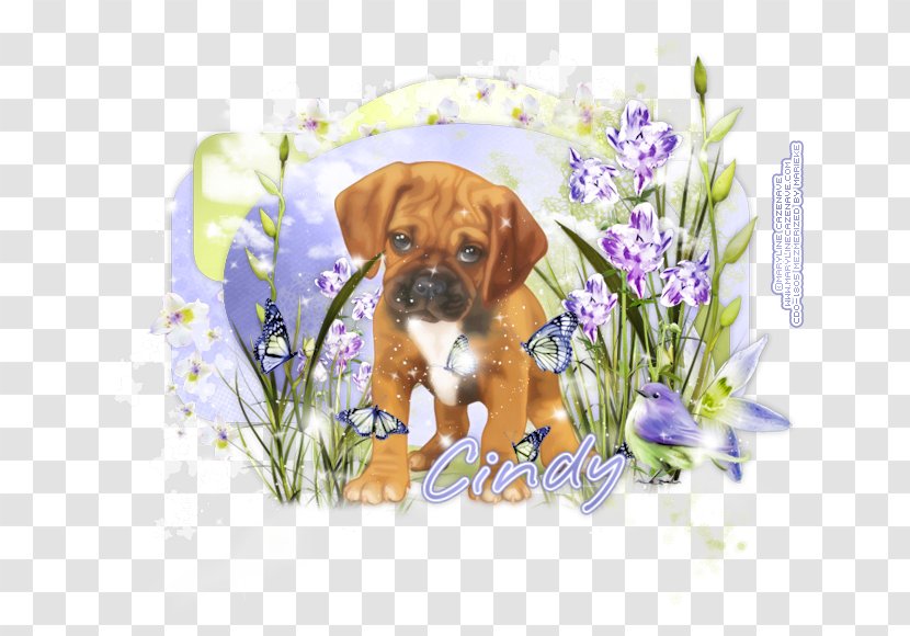 Puggle Puppy Boxer Dog Breed Companion Transparent PNG