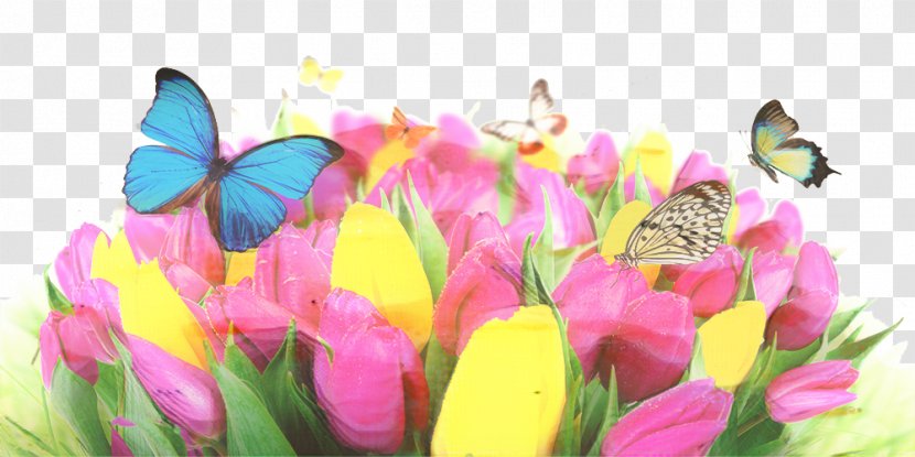 Flowers Background - Spring - Cut Wildflower Transparent PNG