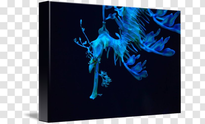 Graphic Design Desktop Wallpaper Computer Organism - Electric Blue Transparent PNG