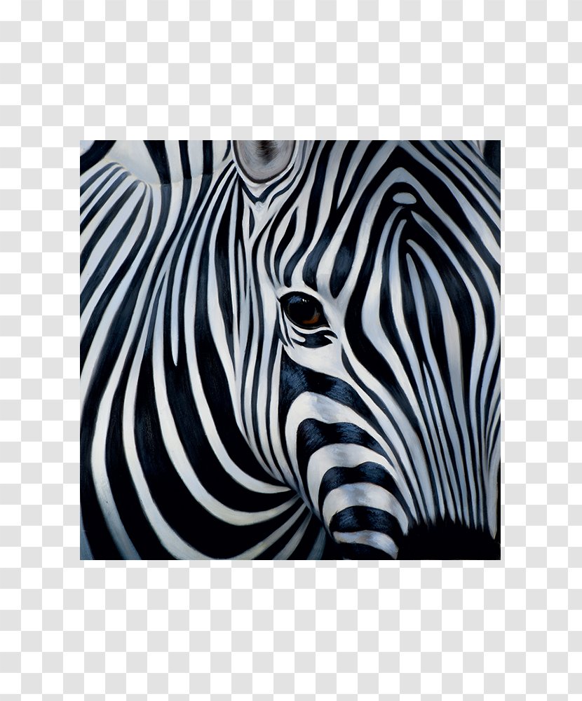 Zebra Horse Painting Serengeti Canvas Transparent PNG
