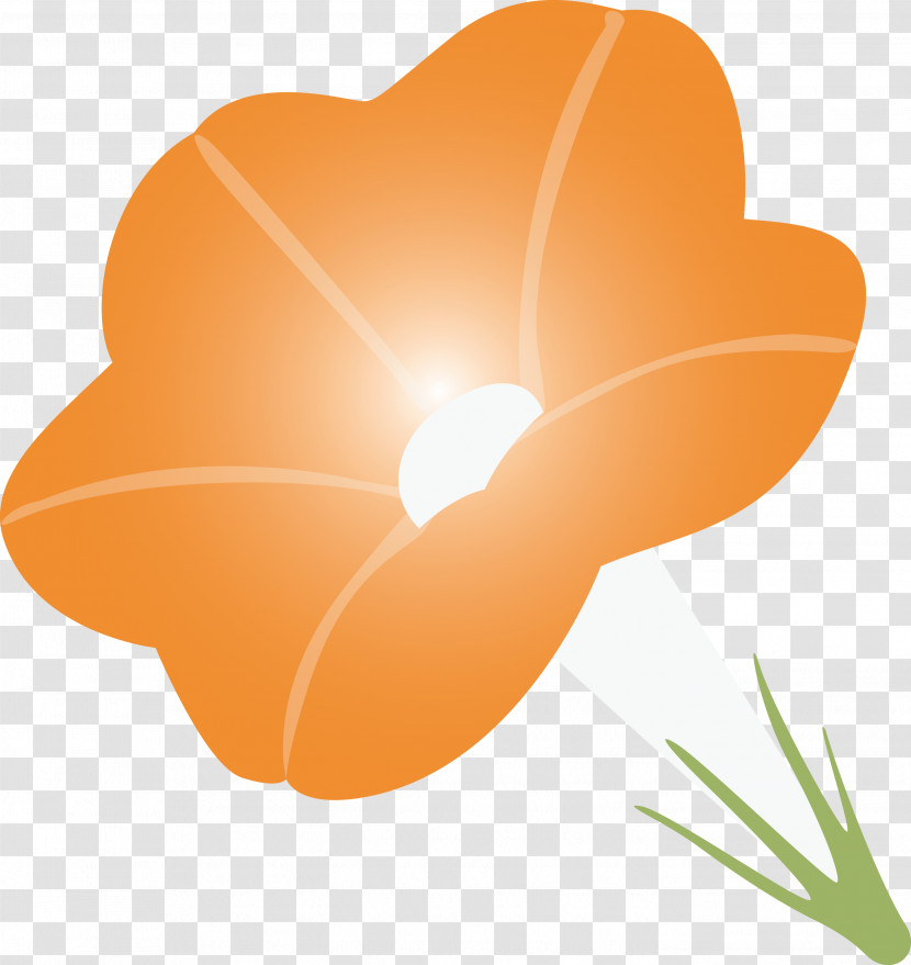 Morning Glory Flower Transparent PNG