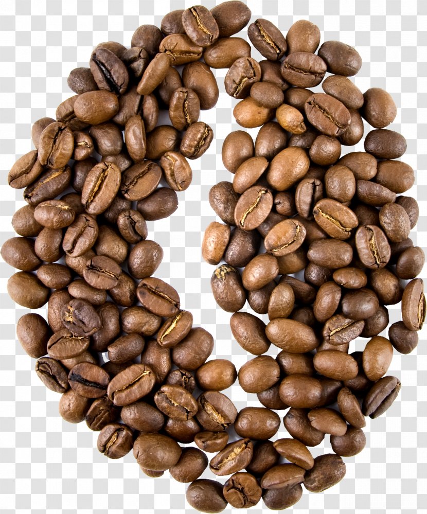 Robusta Coffee Cappuccino Cafe Maragogipe - Cocoa Bean - Quality Beans Transparent PNG