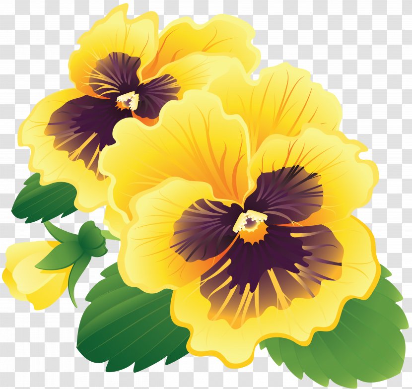 Royalty-free Flower - Floristry - Wit Clipart Transparent PNG