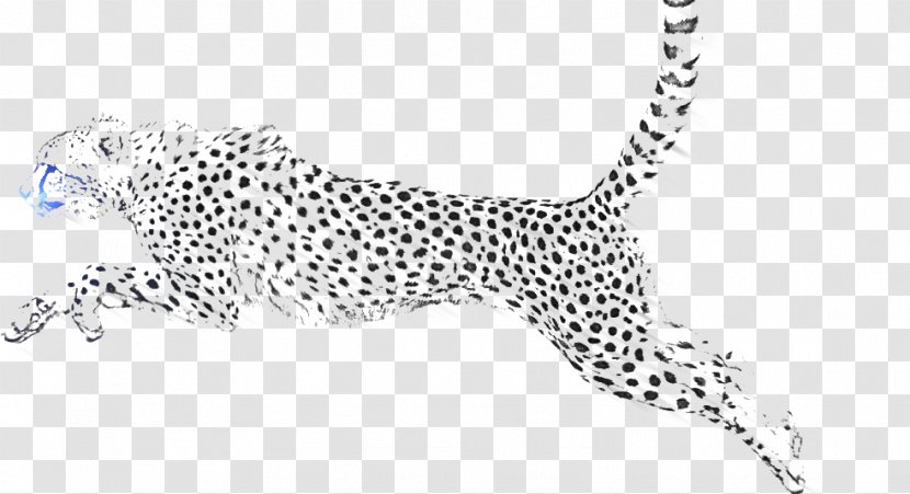 Snow Leopard Jaguar Cheetah - Dog Like Mammal Transparent PNG