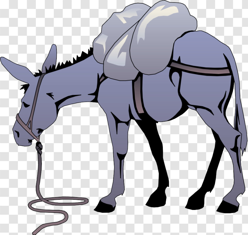 Cartoon Horse Burro Animation Mane Transparent PNG