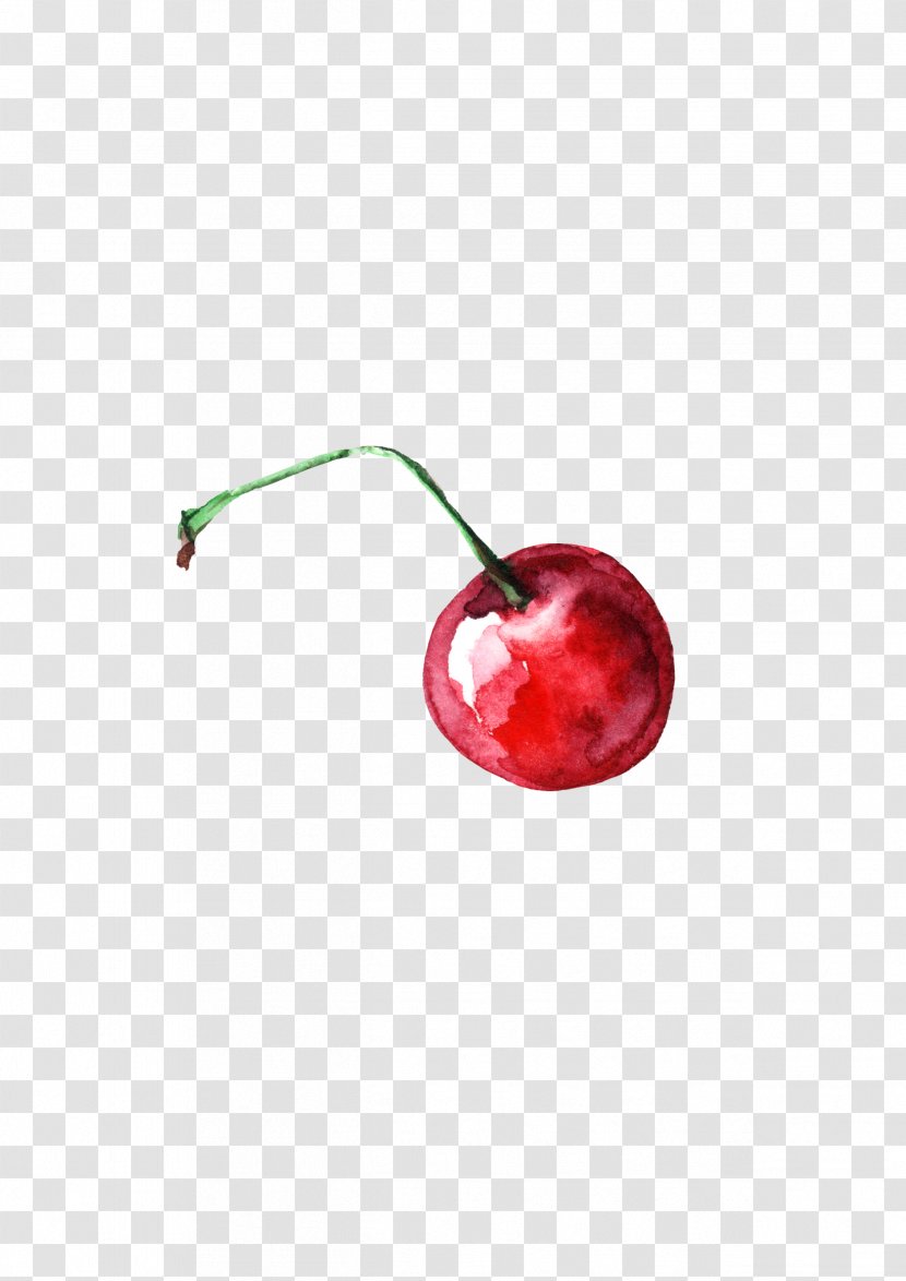 Cherry Watercolor Painting - Red Transparent PNG