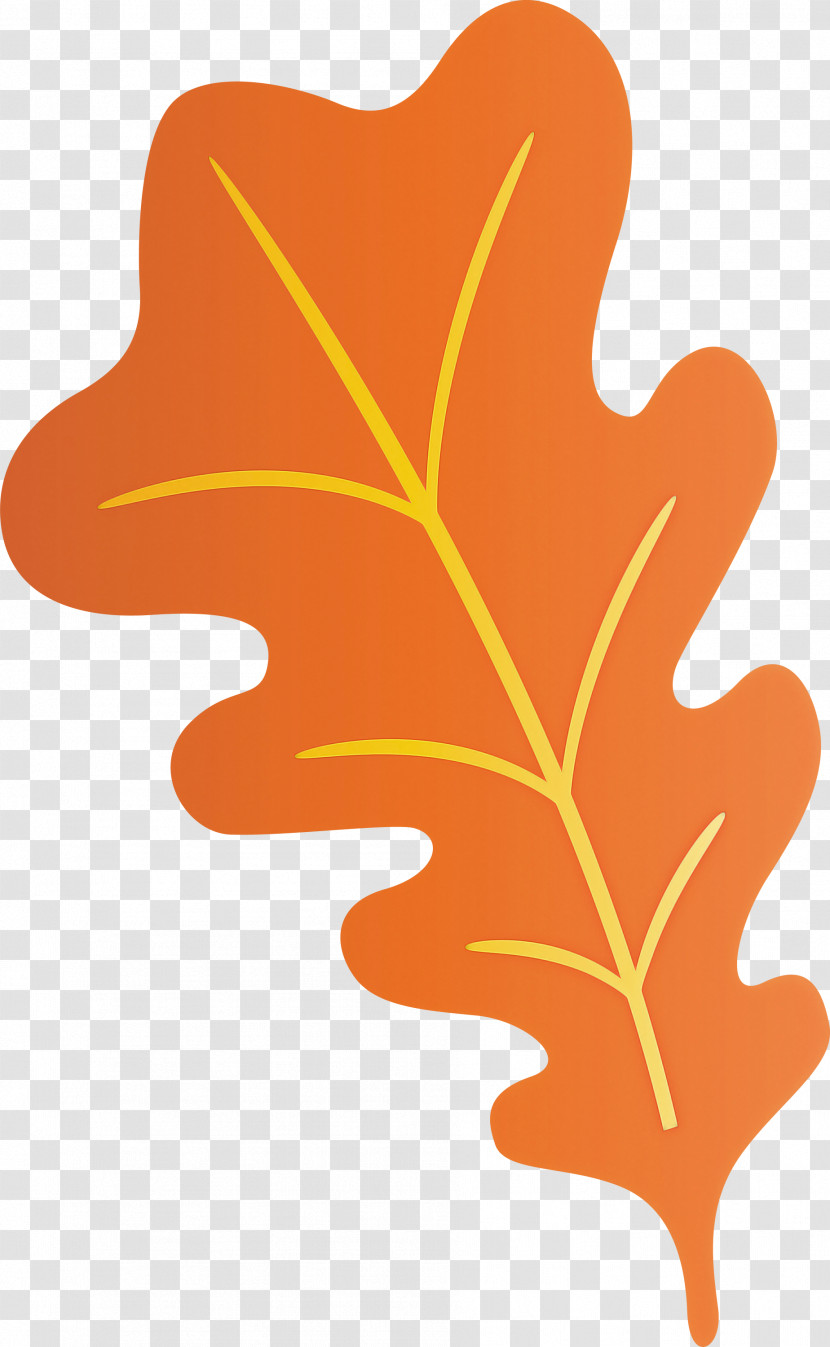 Oak Leaf Transparent PNG