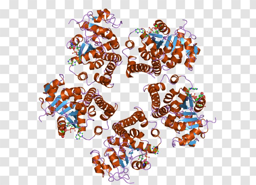 Pyrroline-5-carboxylate Reductase PYCR1 Enzyme Gene - Catalysis - Crystal Transparent PNG
