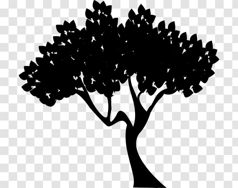 Clip Art Tree Report Dendropanax Morbiferus Graphics - Branch - Botany Transparent PNG