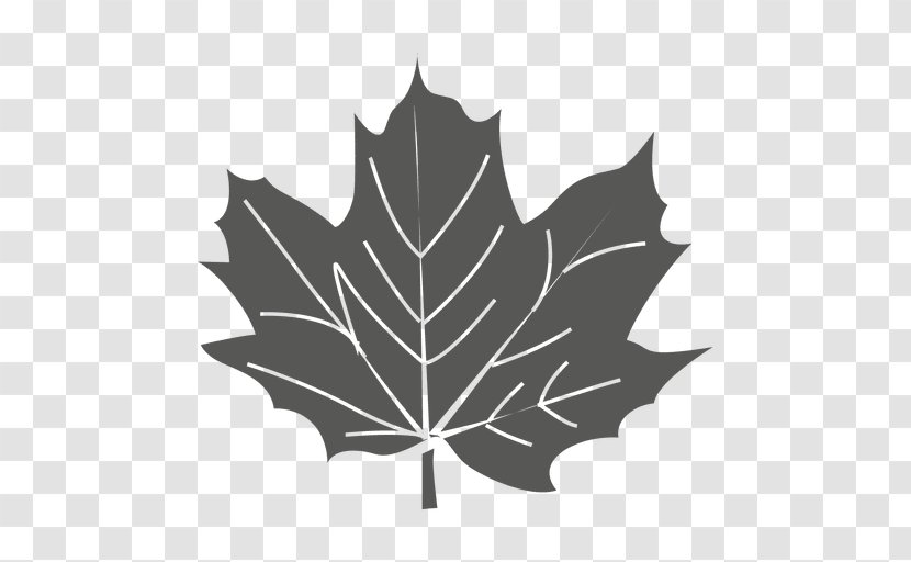 Maple Leaf Sycamore Green Transparent PNG