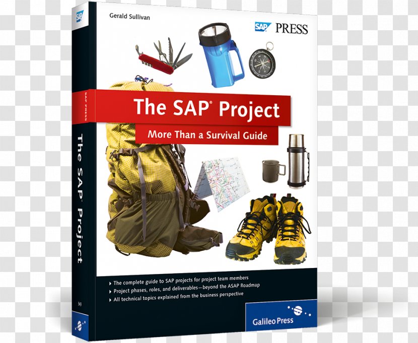 The SAP Project: More Than A Survival Guide Surviving An Audit Project Management Team - Westward Journey Online II Transparent PNG