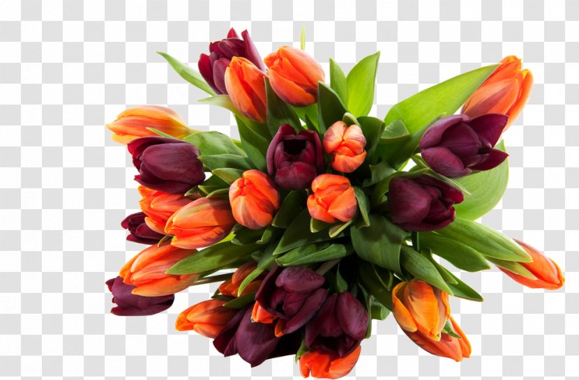 Flower Bouquet High-definition Television Wallpaper - Flowering Plant - Tulip Transparent PNG