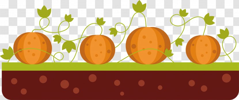 Pumpkin Calabaza Vegetable Clip Art - Cucurbita - Field Of Transparent PNG