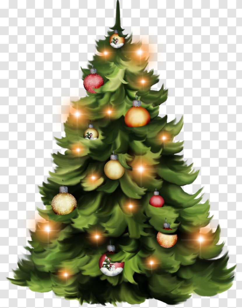 Christmas Tree Day Ornament Spruce Fir - Holiday Transparent PNG