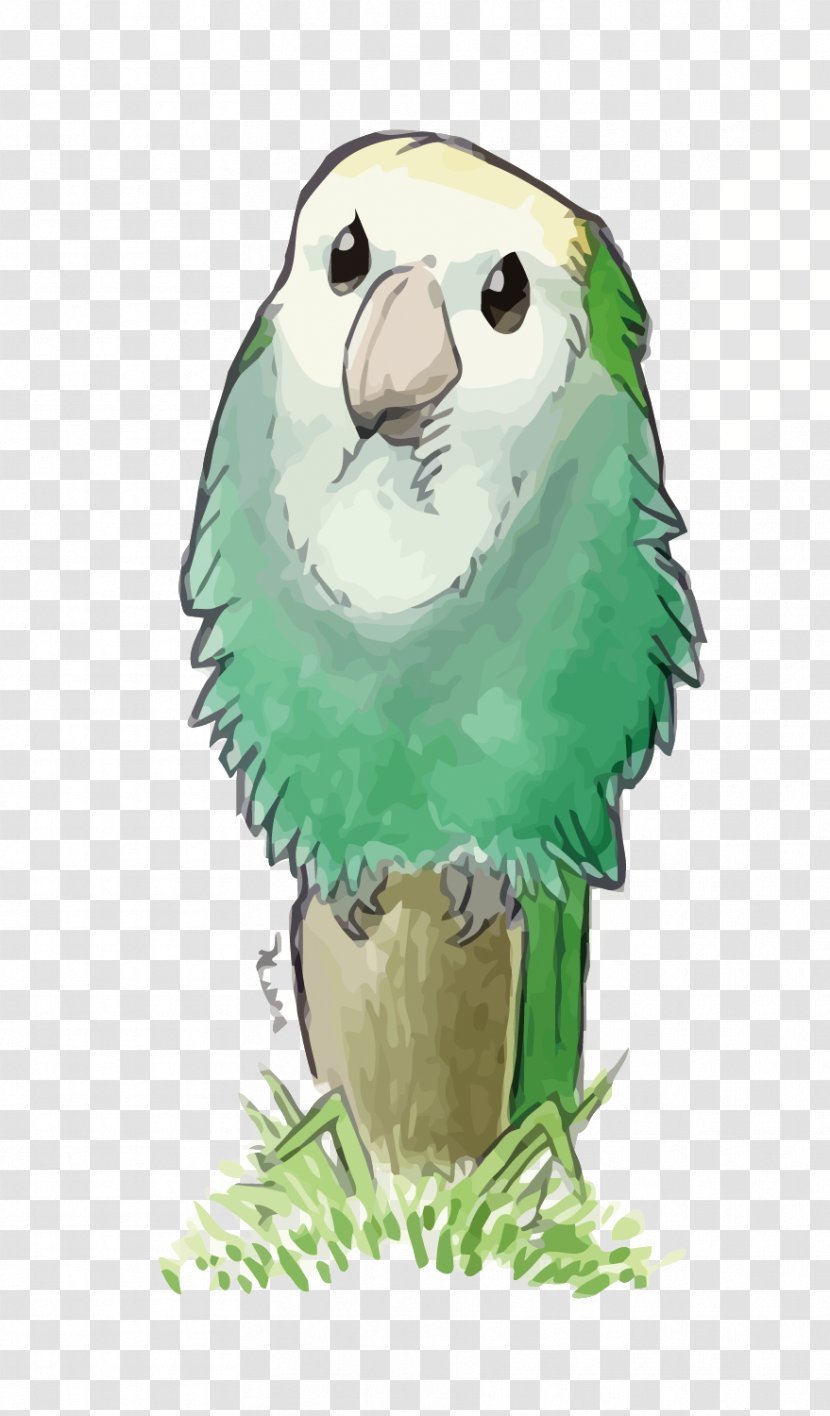 Lovebird True Parrot Illustration - Vertebrate - Vector Drowning Little Transparent PNG