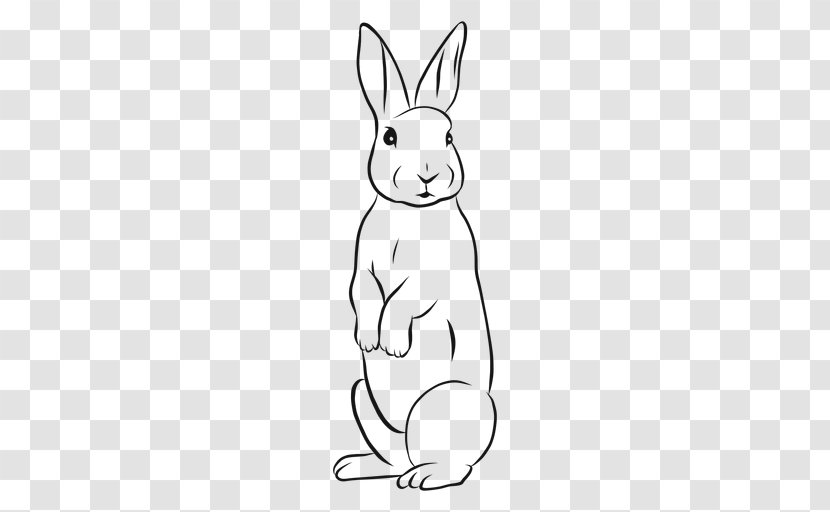 Domestic Rabbit Hare Drawing European - Bunny Sketch Transparent PNG