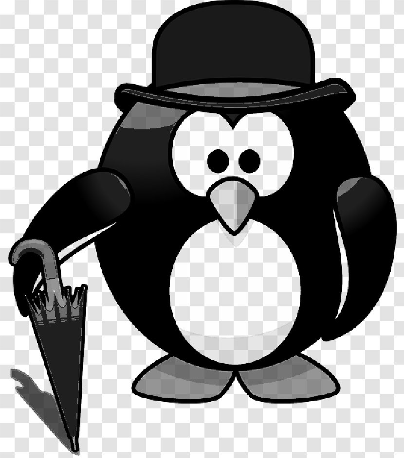 Penguin Cartoon - Flightless Bird - Blackandwhite Tuxedo Transparent PNG