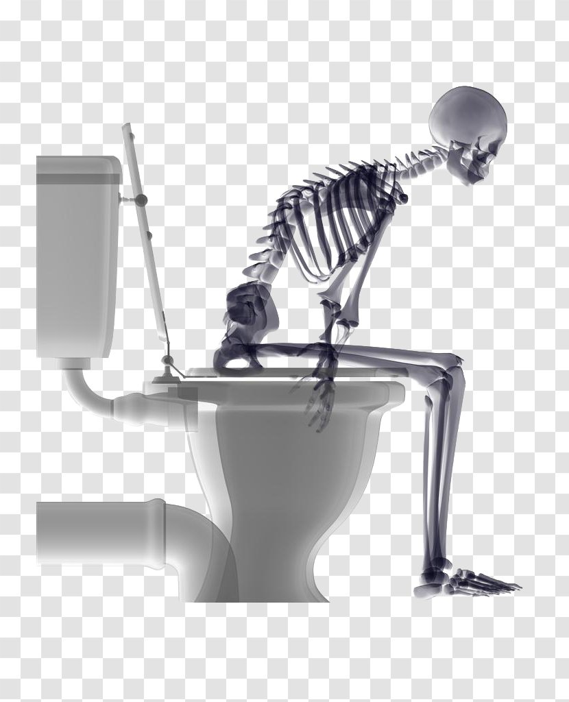 Skull Toilet Human Skeleton Shower - Squatting Transparent PNG