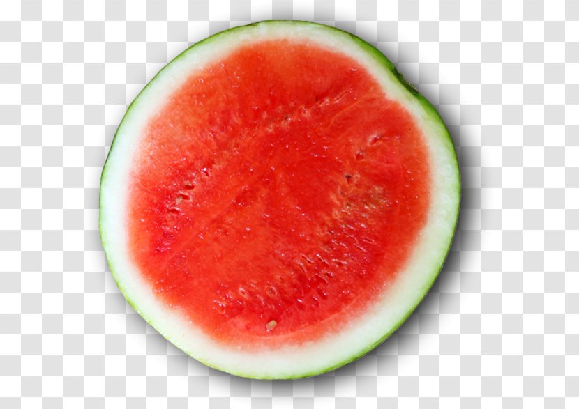Watermelon Business Empresa Internet Profit - Spanish Transparent PNG
