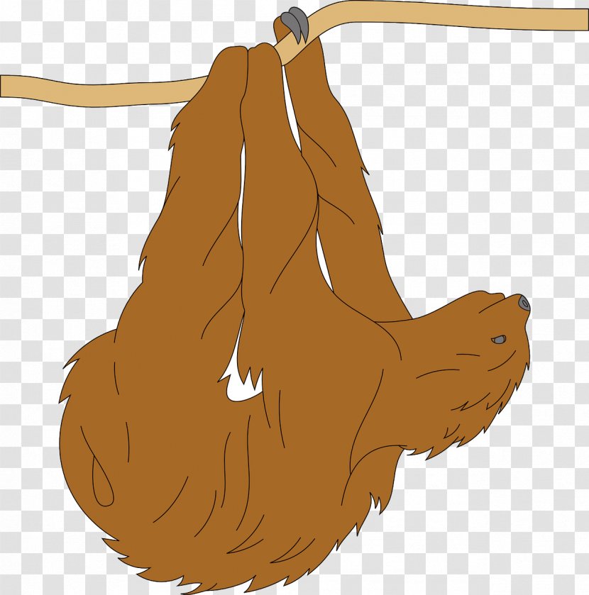 Sloth Clip Art - Dog Like Mammal - Suspension Of Koala Transparent PNG